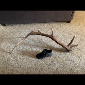 Meet your Posher, Curran